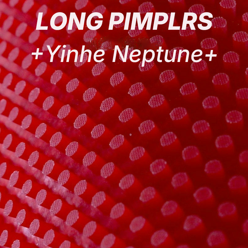 ยางปิงปอง YINHE NEPTUNE แบบปุ่ - Table Tennis Xiom Rubber บทวิจารณ์และราคา