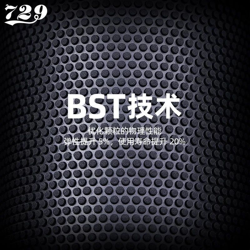 ยางปิงปอง 729 Friendship Pips- - Table Tennis Game บทวิจารณ์และราคา